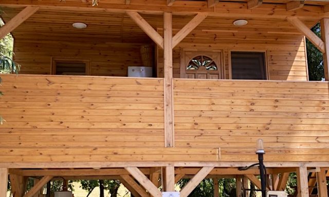 Tiszavirág Lombház-Tiszaszőlős-71461