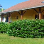 Tókert Vendégház-Őriszentpéter-35389