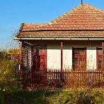 Tőkés Réce Élményporta-Sarud-44154