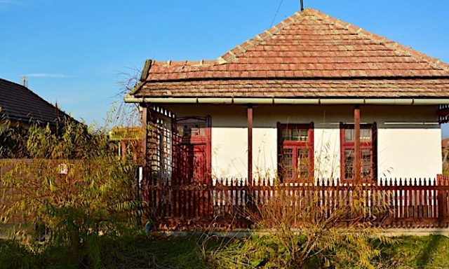 Tőkés Réce Élményporta-Sarud-44154