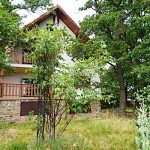 Tölgyfaliget és Balaton Vendégház-Révfülöp-41331