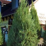 Tópart Vendéglő és Panzió-Mezőberény-42364