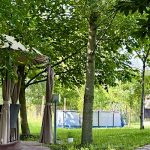 Torzsás Horgászkuckó-Gyomaendrőd-64274