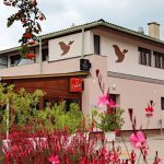 Vadkacsa Panzió-Balatonkenese-42250