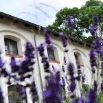 Vadkert Major-Sárvár-38534