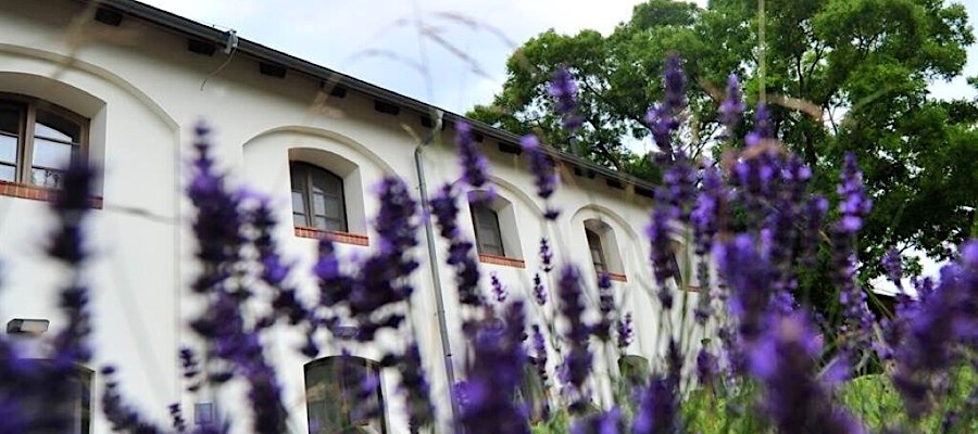 Vadkert Major-Sárvár-38534