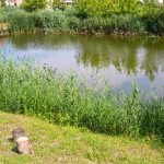 Vadrózsa Apartmanház-Poroszló-27311