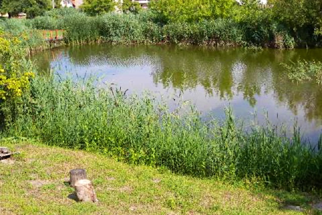 Vadrózsa Apartmanház-Poroszló-27311