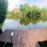 Vadszőlő Apartmanház-Gyomaendrőd-27844