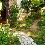 Varázskert Vendégház-Balatongyörök-67654