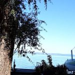 Világosi Part Vendégház-Balatonvilágos-69062