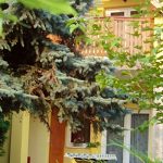 Villa Elisa-Vonyarcvashegy-32803