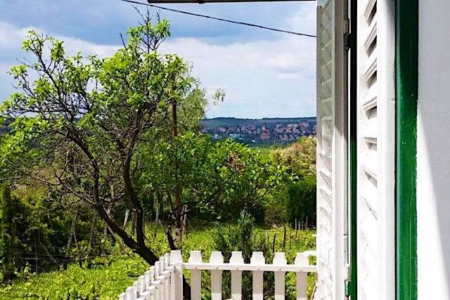 Villa Negra Apartman-Keszthely-31887