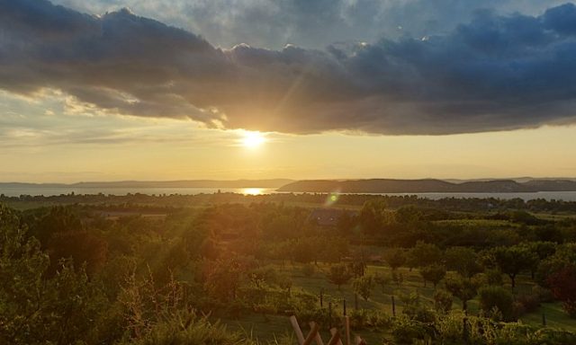 Víztükör Vendégház-Zamárdi-70142