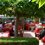 Zöld Elefánt & Panzió-Zalaapáti-42926