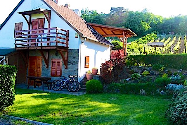 Zoltán Borháza-Tihany-32649