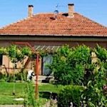 Zsóka Vendégház-Mórahalom-9825