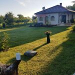 BalatonApartman 1008-Balatonszemes-80428
