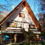 Bárka Pihenőház-Baja-9666