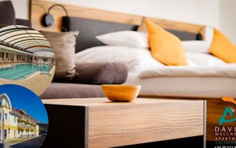 Dávid Wellness Apartman-Zalakaros-66941