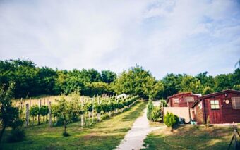 Dutch Hill-Zalacsány-30076