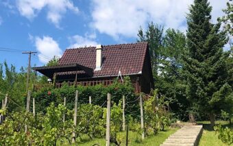 Fenyveshegyi Házikó-Verőce-53691