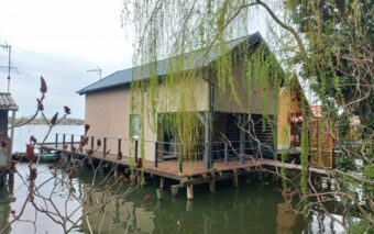 Halacskaland Vendégház-Oroszlány-77794