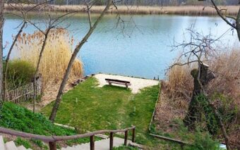 Süllőfészek-Fadd-26147