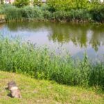 Vadrózsa Apartmanház-Poroszló-27311
