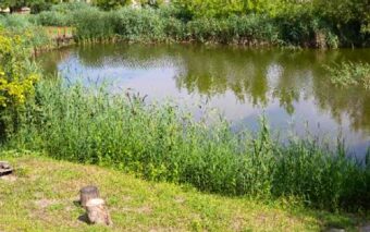Vadrózsa Apartmanház-Poroszló-27311
